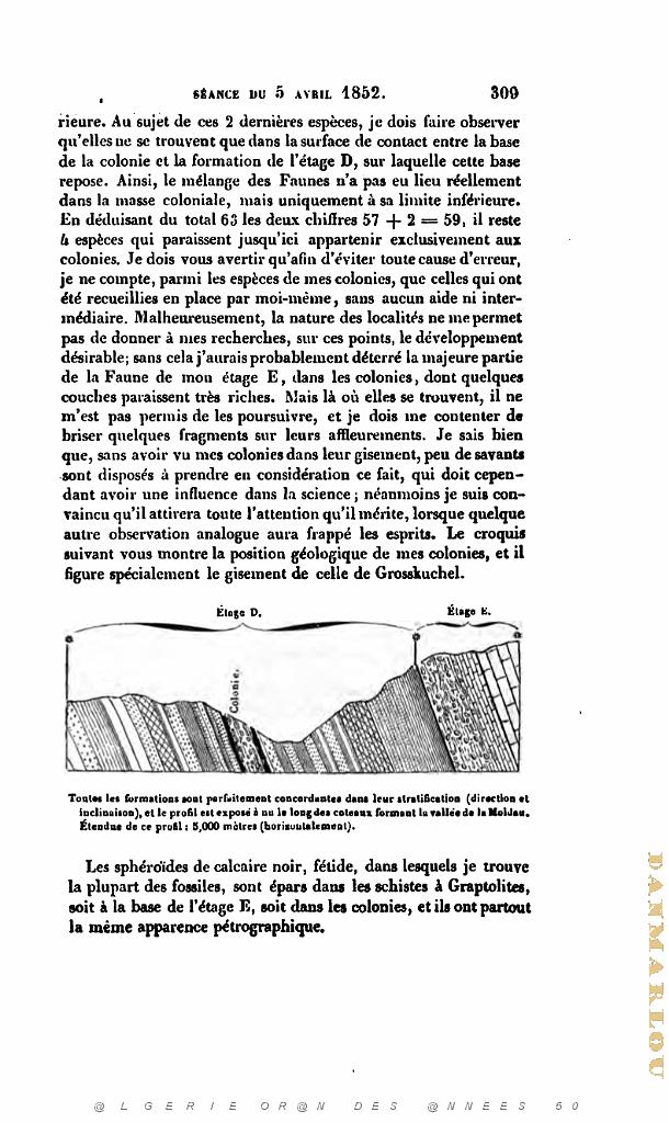 BULLETIN DE LA SOCIETE GEOLOGIQUE DE FRANCE 1852_000352.jpg